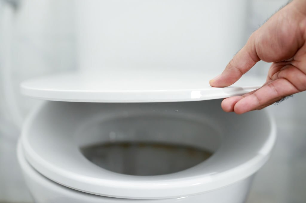 Berikut Hal-Hal Yang Wajib Anda Lakukan Sebelum Memakai Toilet Umum