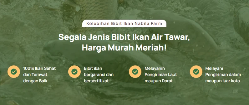 Keunggulan Farm Nabila. Sumber: farmnabila.com