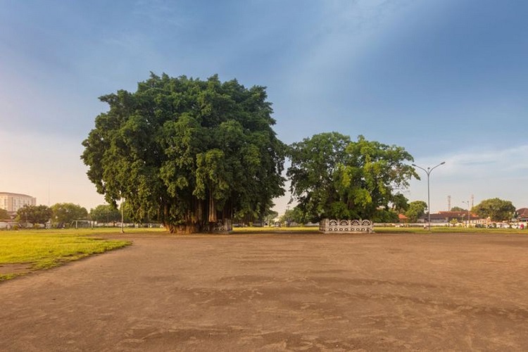 Alun-alun kidul Jogja, Sumber: yogyakarta.kompas.com