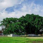 Tempat yang tidak pernah sepi pengunjung, Sumber: atourin.com