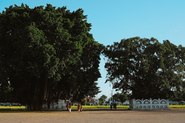 Alun-Alun Kidul Jogja, Sumber pexels.com